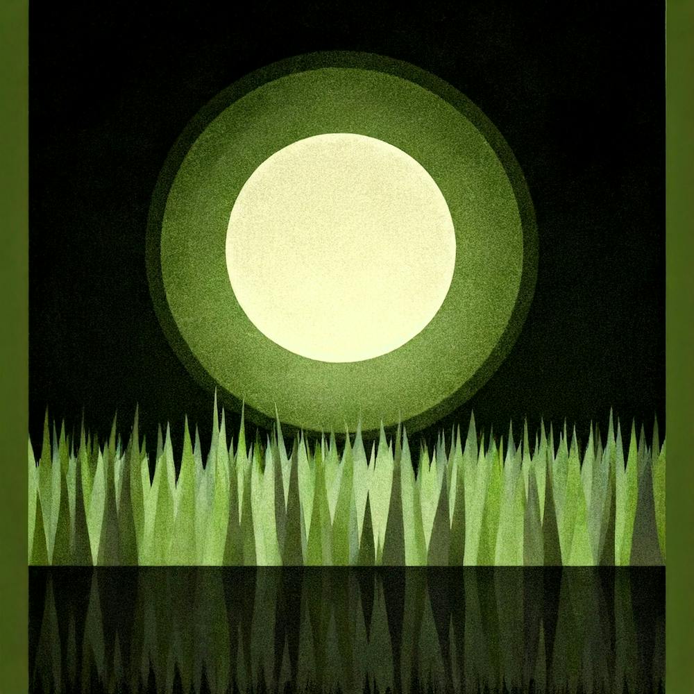 Full Moon In The Grass