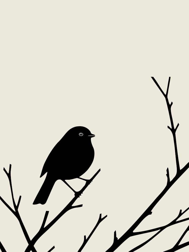 Black Bird On A Branch