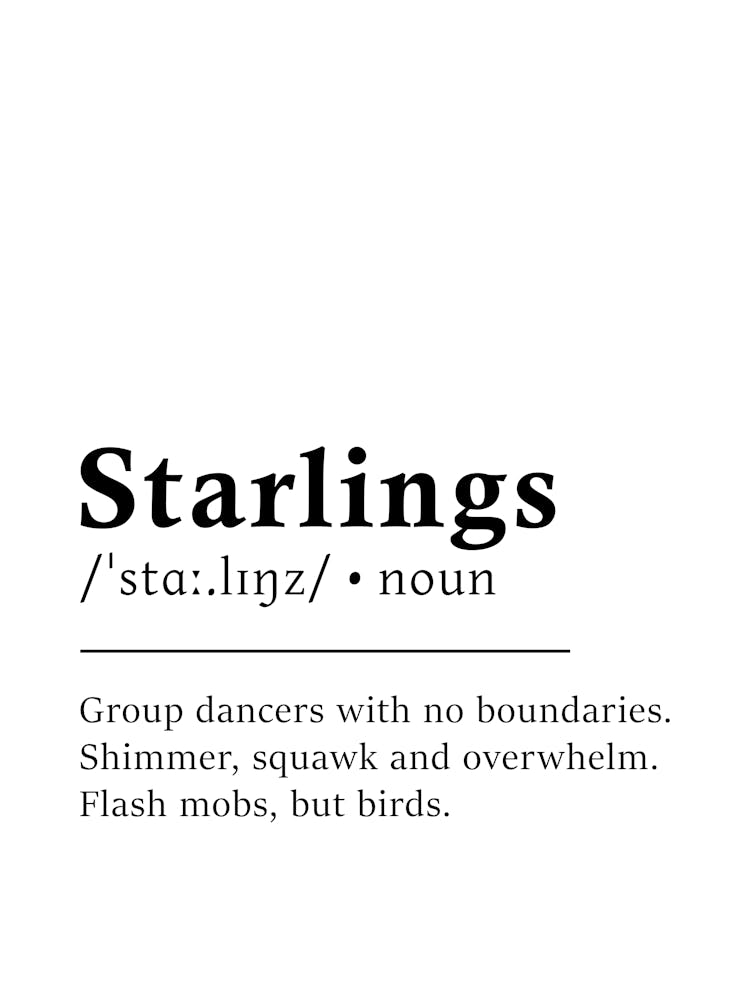 Starlings Definition Poster - Dictionary