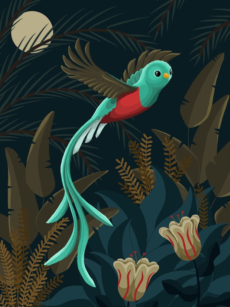 Sacred Quetzal Bird In The Jungle