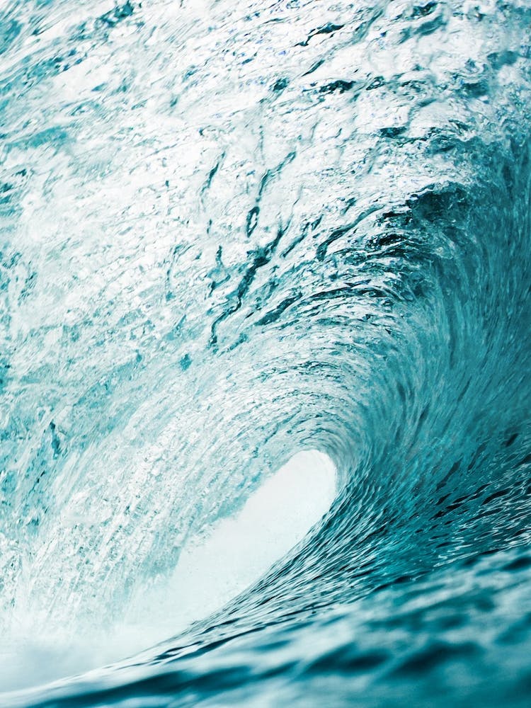 The Wave