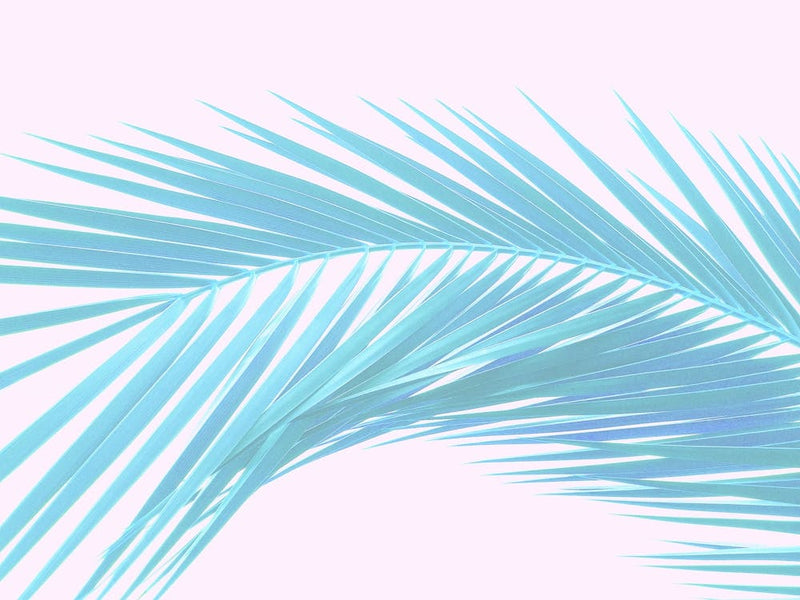 Minimal Abstract Dreamy Palm leaf pastel Blue on Pink