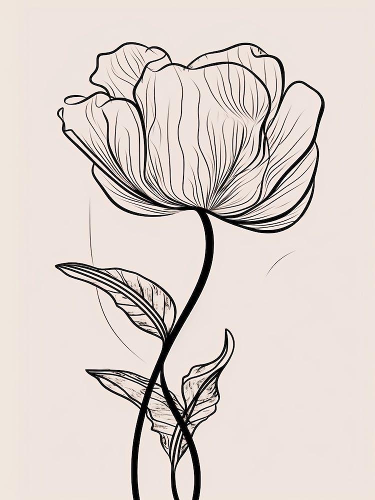 Line Art Tulips Flowers Illustration Neutral 9