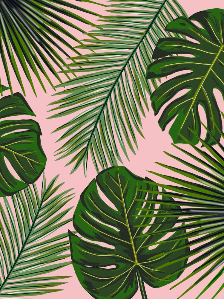 Tropical Leaves on Pink