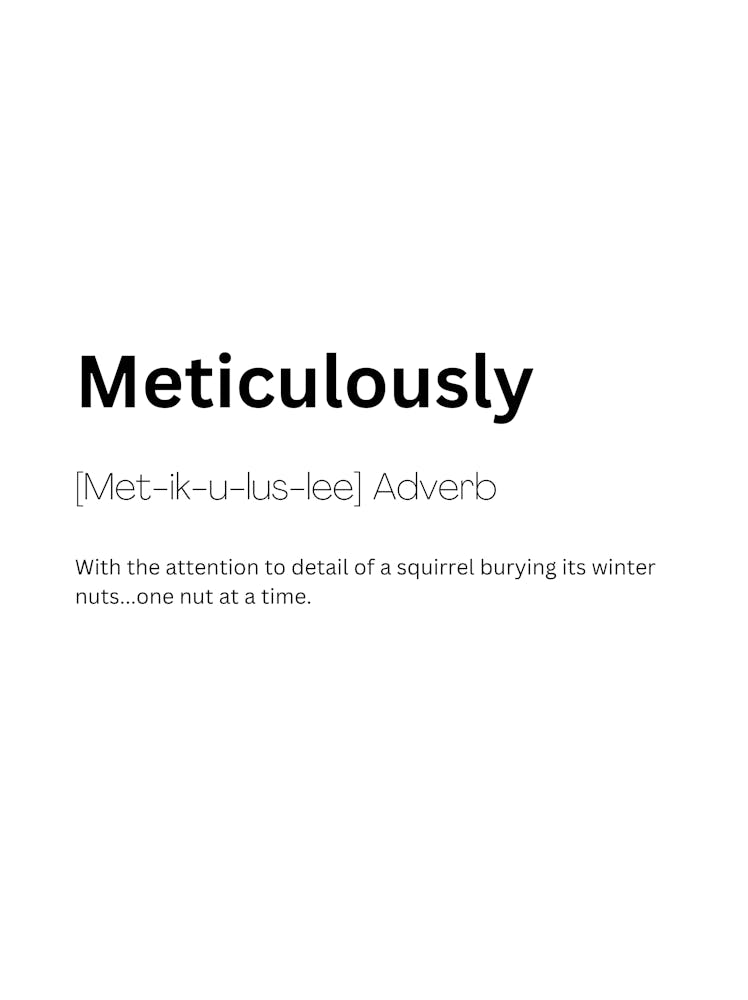 Meticulously Definition Meaning 1