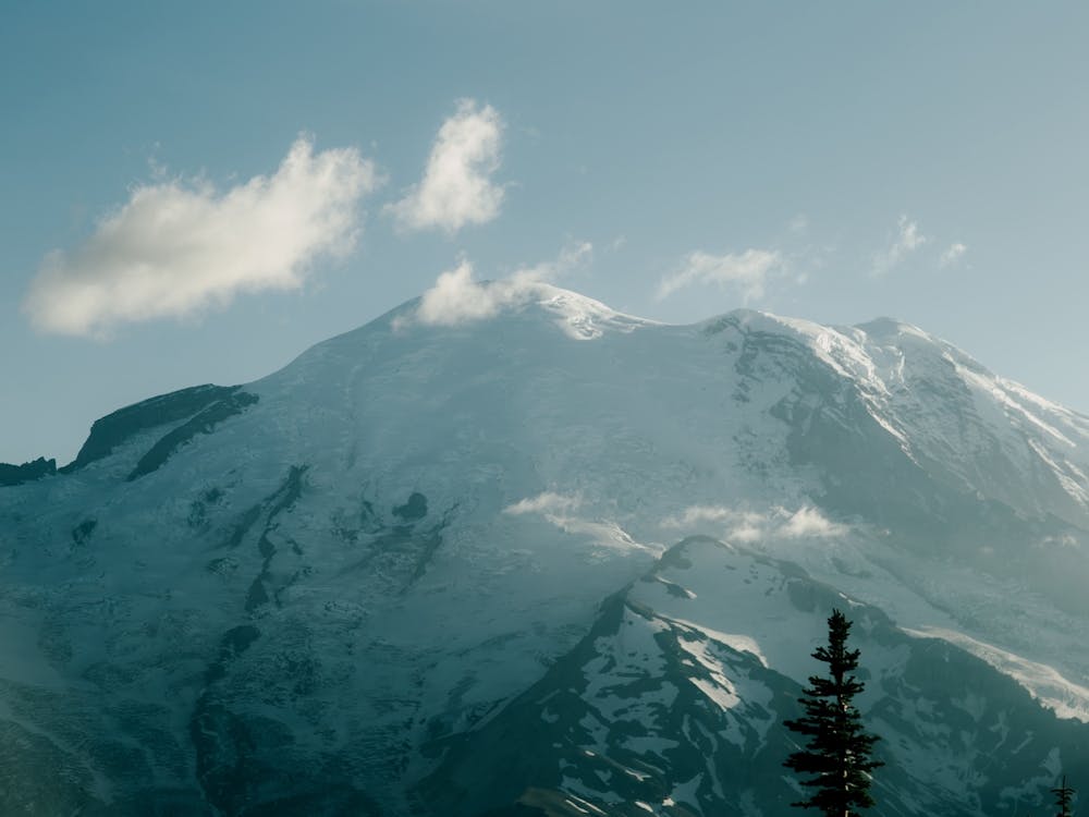 Blue Rainier