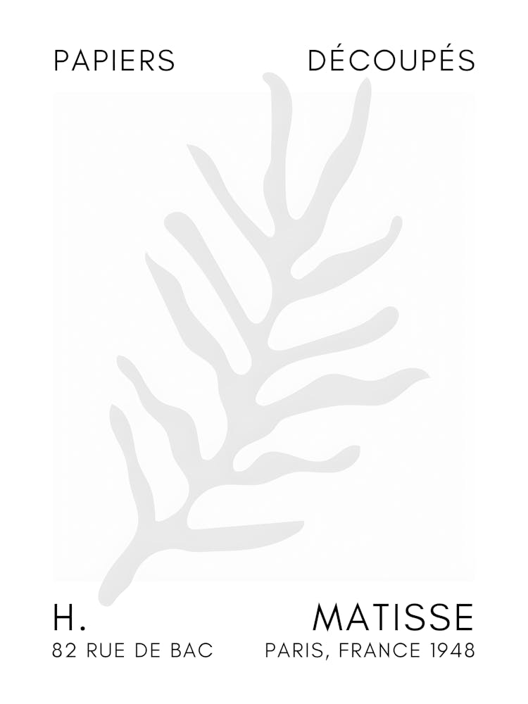 Matisse 20