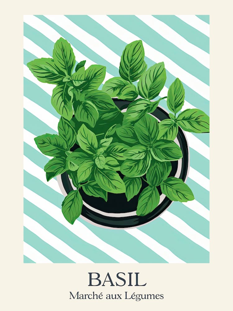 Marche Aux Legumes Basil Summer Illustration 10