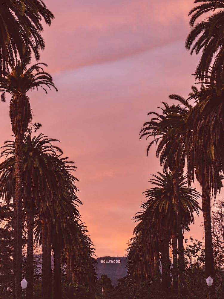 Hollywood