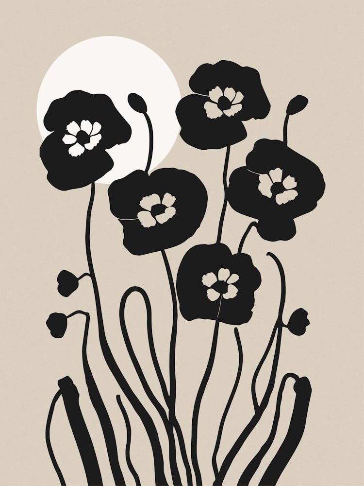 Midday Flowers
