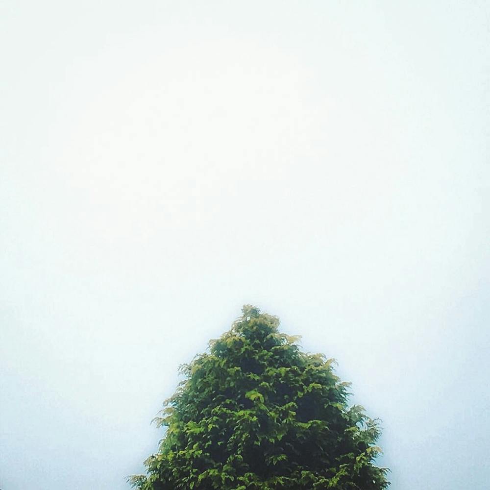 Misty Morning Square