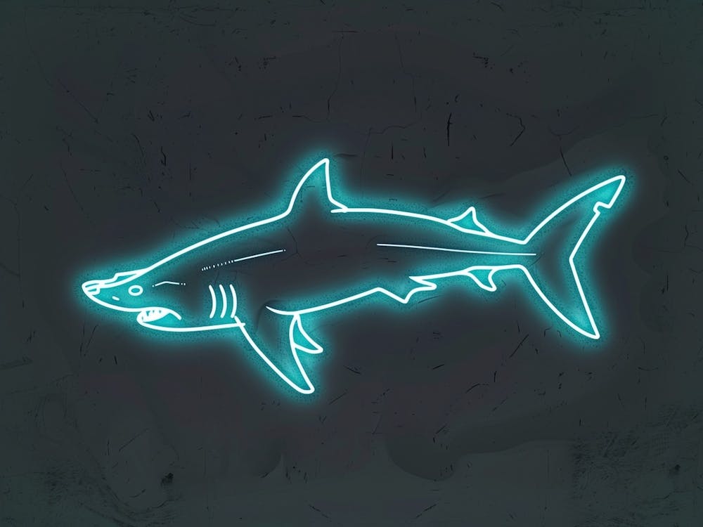 Aqua Hammerhead Shark 3