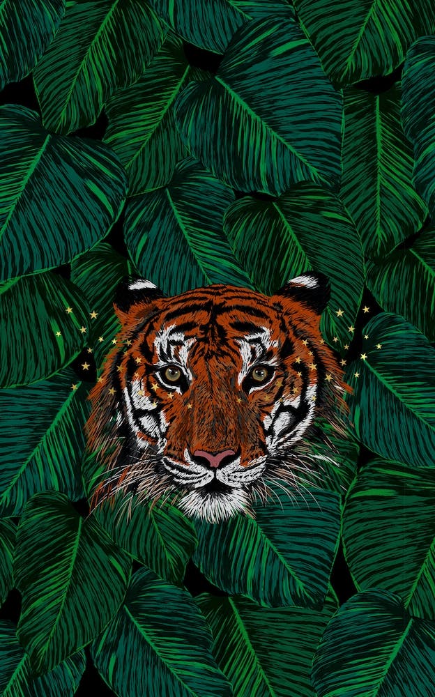 Starlight Tiger