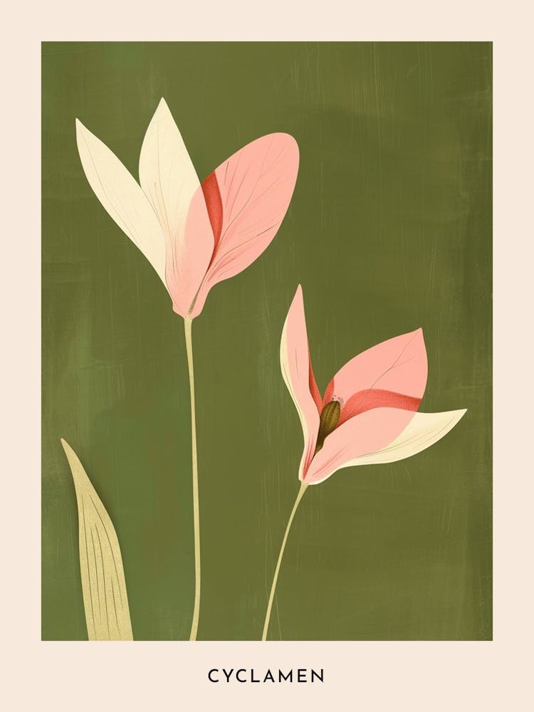 Affiche Fleur Cyclamen Rose et Vert 3