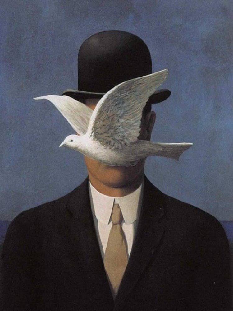 Dove With Hat