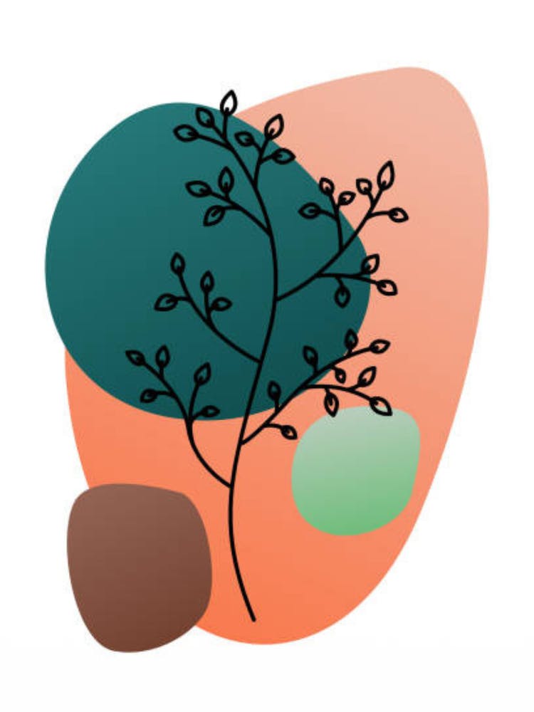 Tree Of Life 1