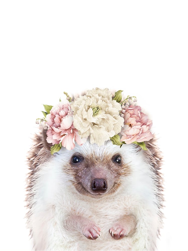 Peekaboo Floral Hedgehog
