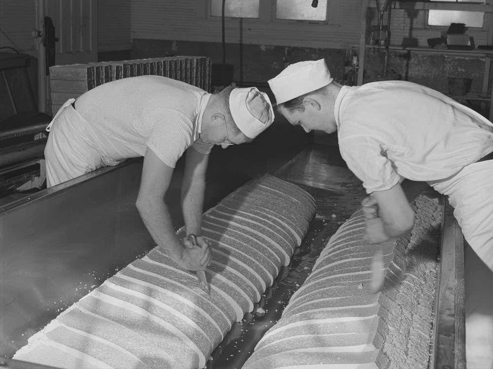 Cutting Through The Curd Which Has Cheddared, And Thus Releasing The Whey, Tillamook Cheese Plant, Tillamook