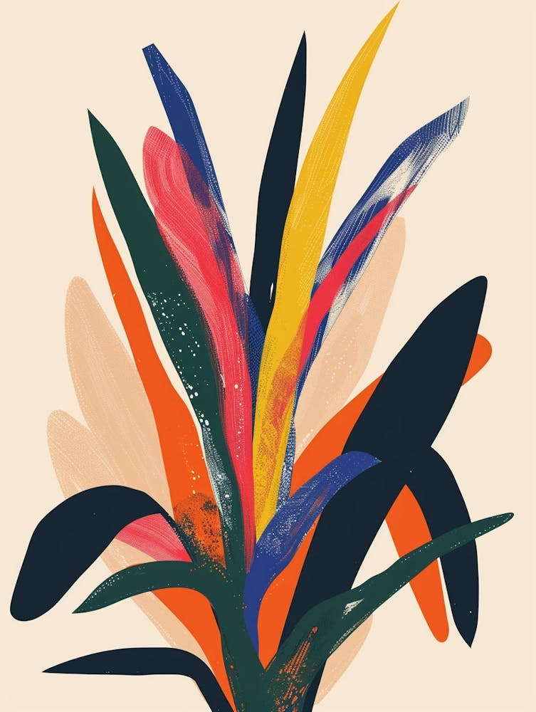 Bromelienpflanze Minimalistische Illustration 3