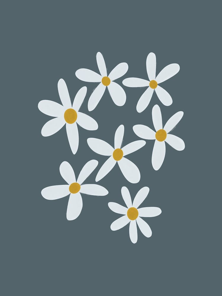 Daisies Navy