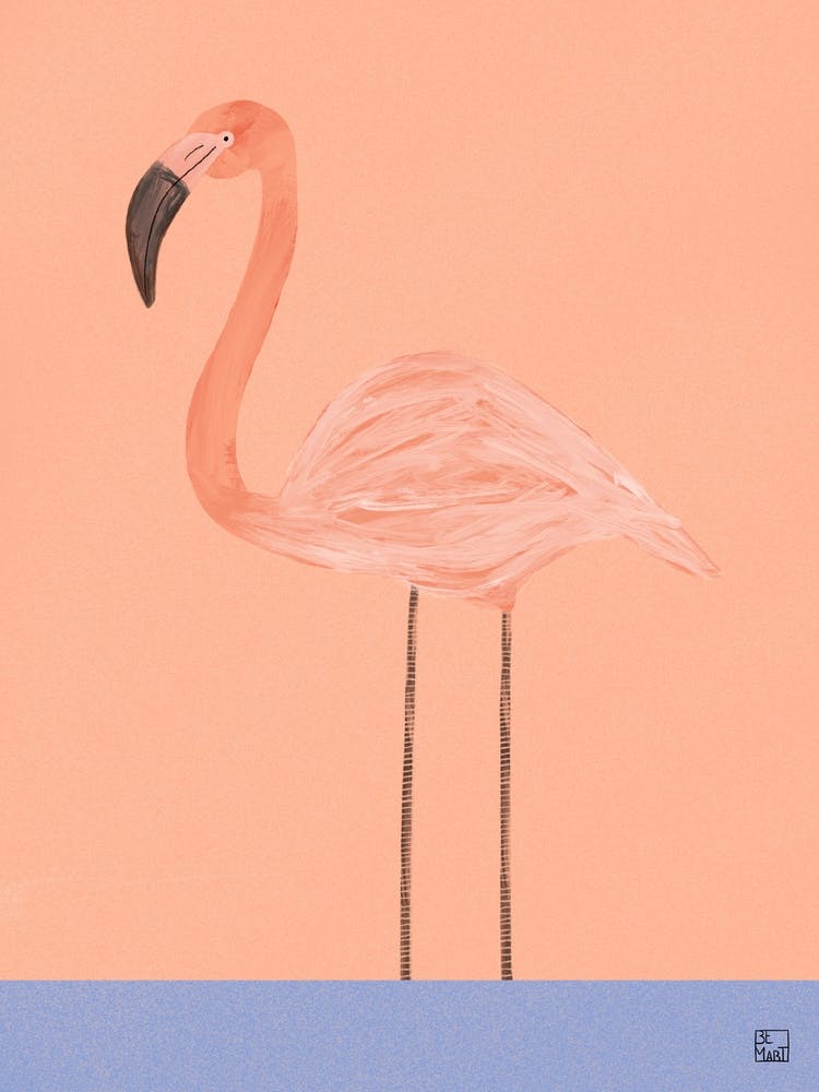Flamant Rose Avec Orange