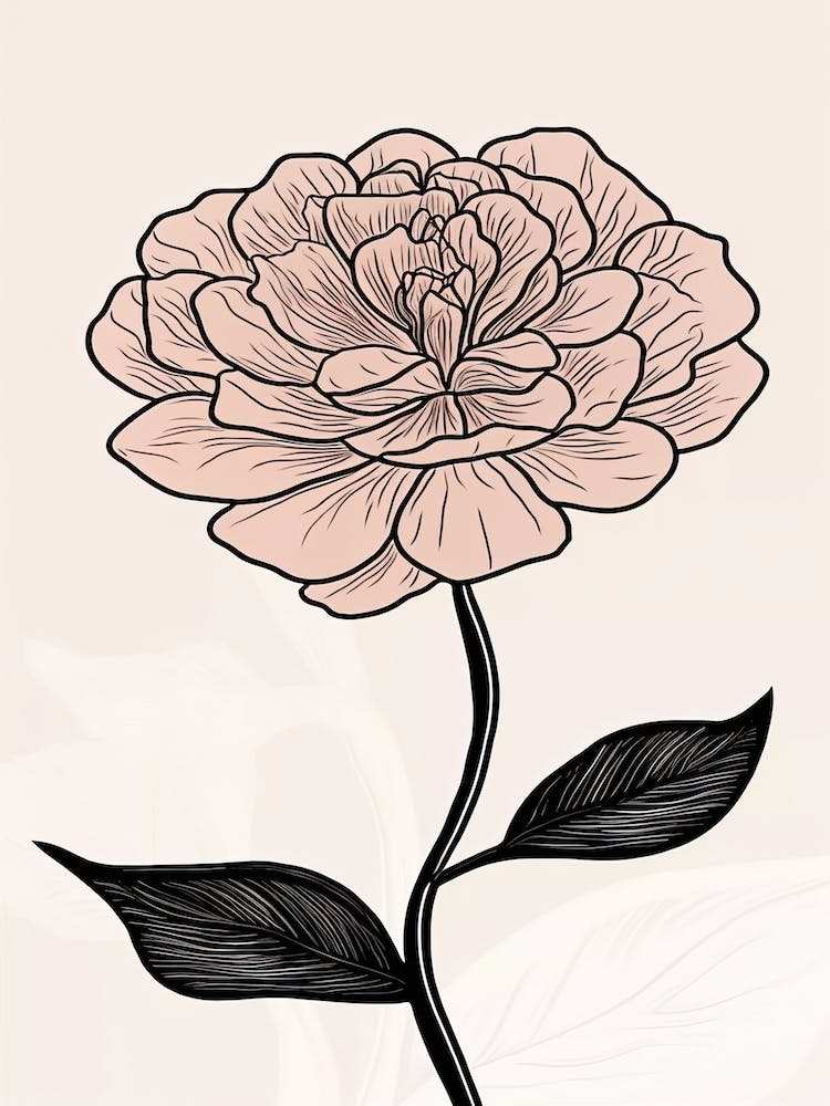 Line Art Marigold Flowers Illustration Neutral 7