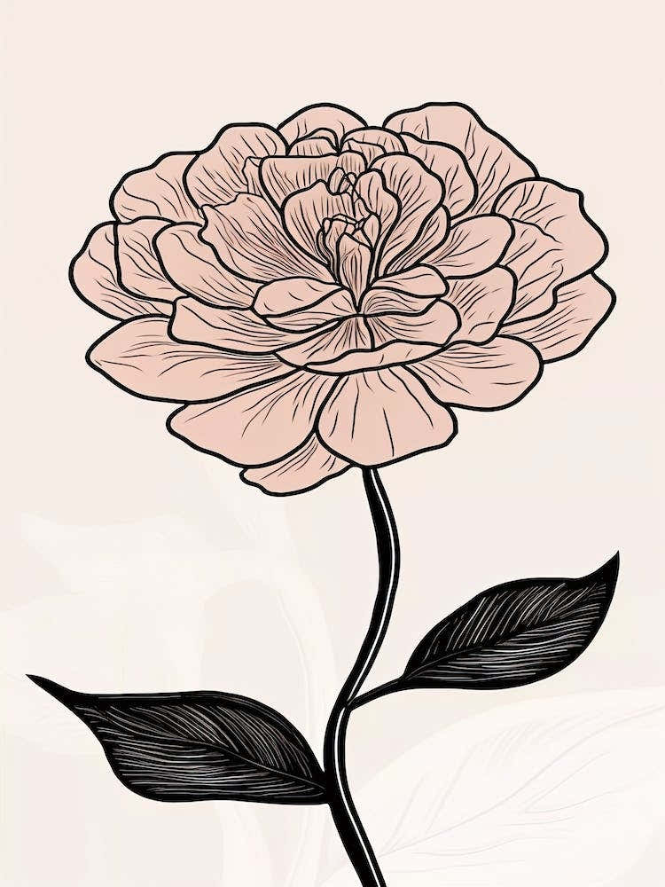 Line Art Marigold Flowers Illustration Neutral 7