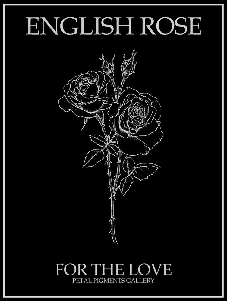 English Rose Black And White Line Drawing 14 Poster Inverted