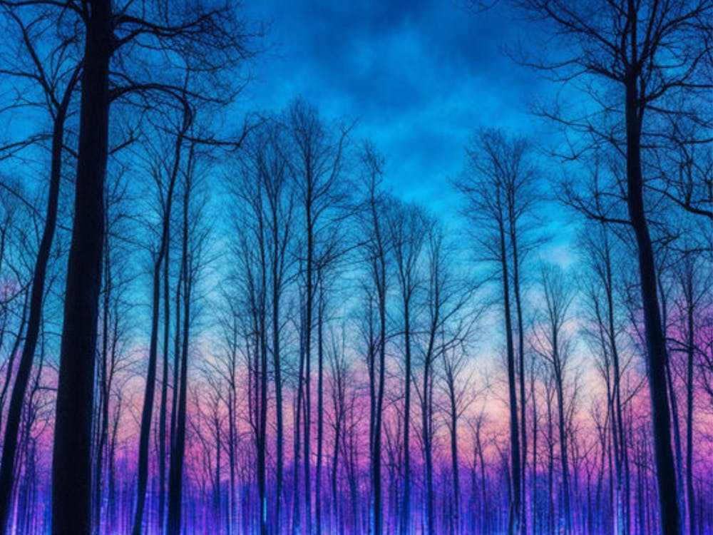 Twilight Forest