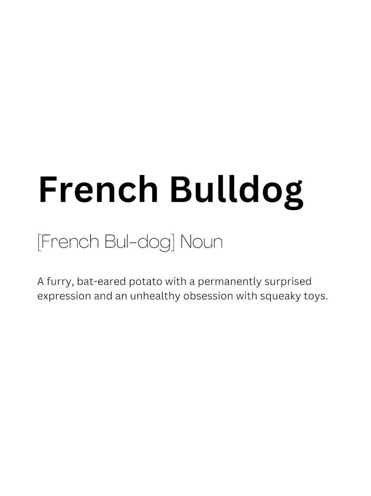 French Bulldog Definition Meaning