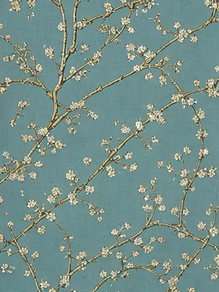 Bouleau Blanc Européen Botanique Vintage
