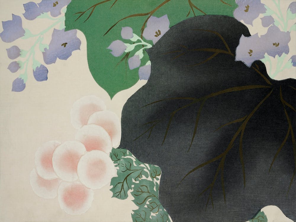 Flowers And Leaves From Momoyogusa –Flowers Of A Hundred Generations (1909), Kamisaka Sekka