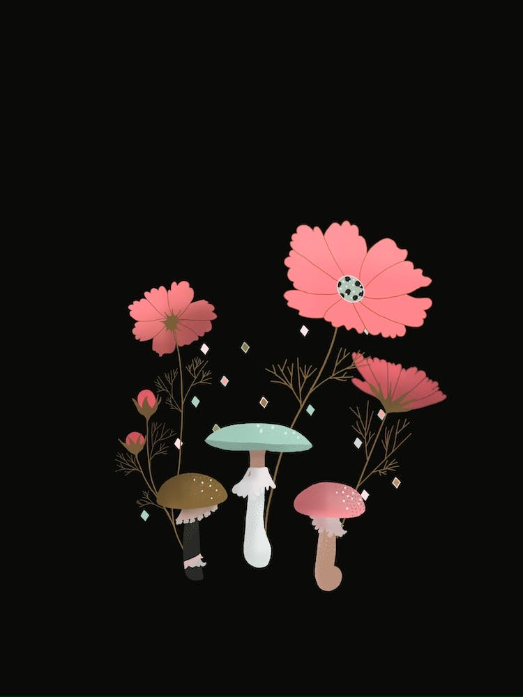 Mushrooms And Flowers Black Background