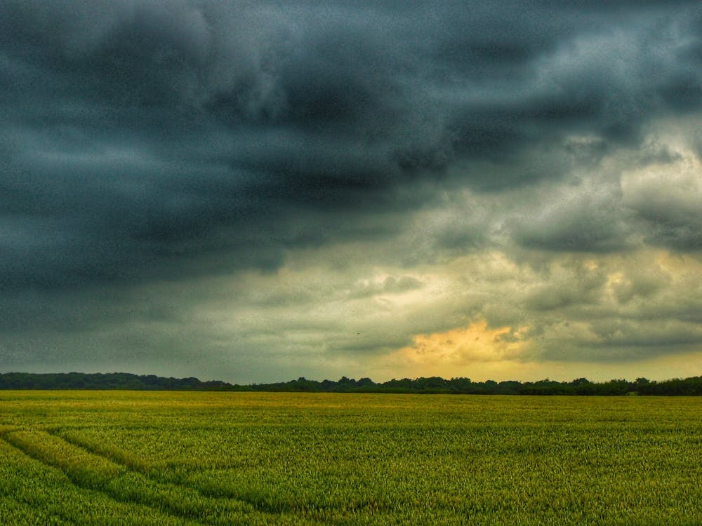 Storm Clouds Over A Field 1