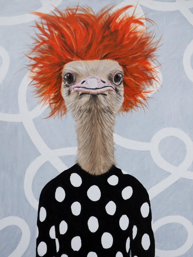 Wild Ostrich