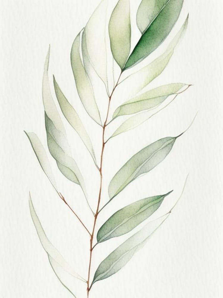 White Willow Leaf Minimalist Watercolour 5
