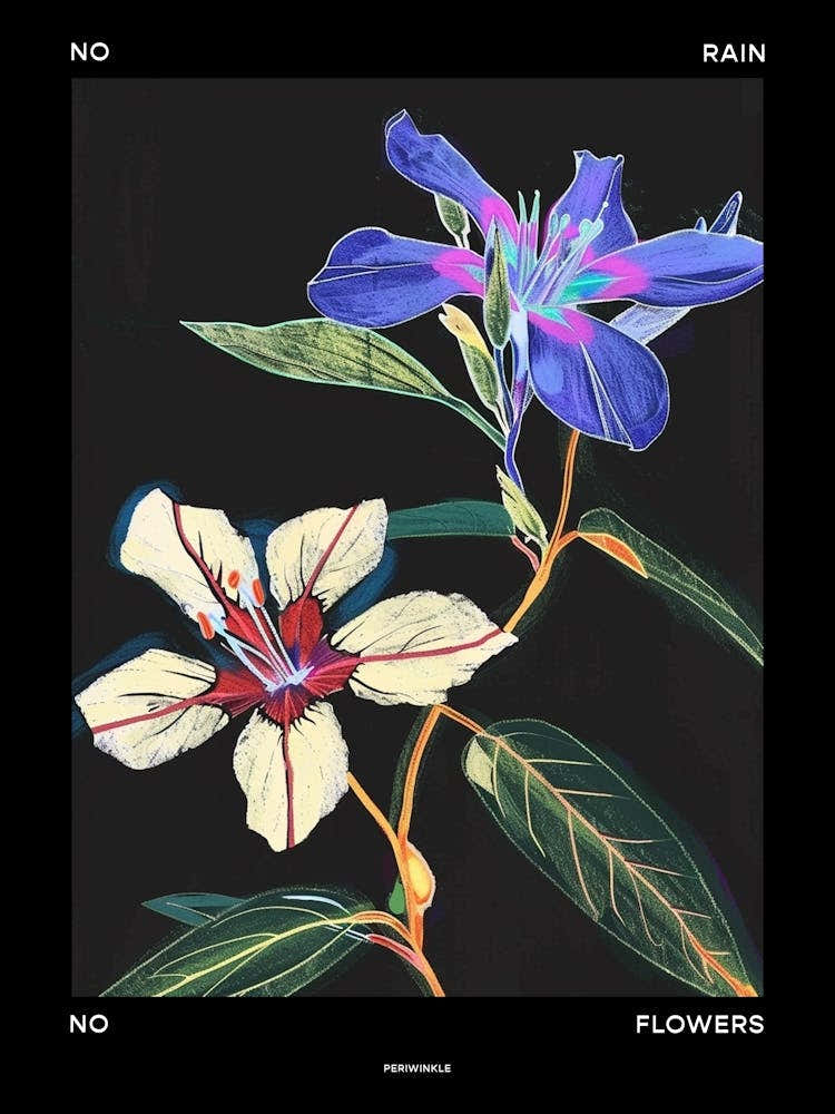 No Rain No Flowers Poster Periwinkle 2