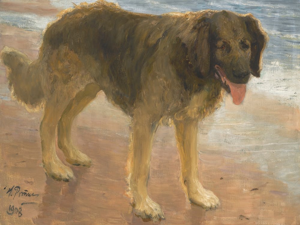 Nord, Ilya Efimovich Repin