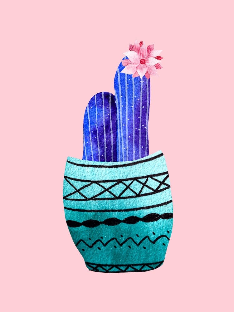 Galactic Cactus