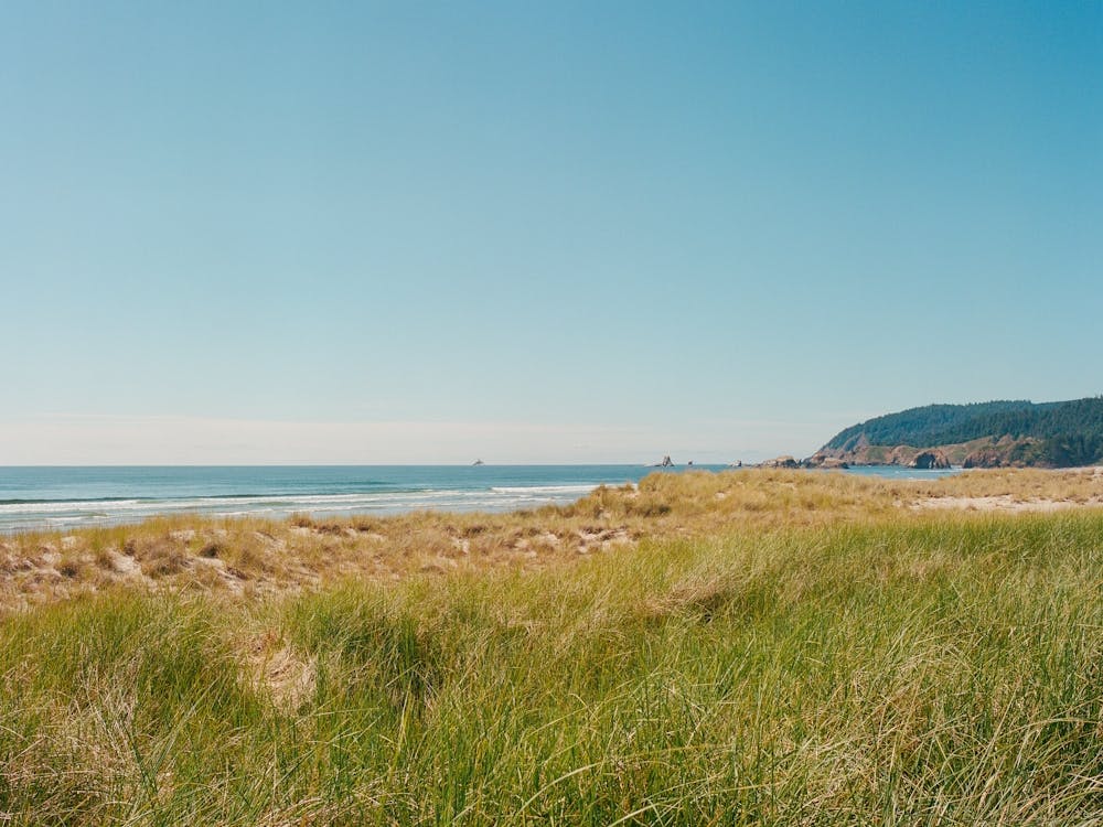 Cannon Beach VIII on Film