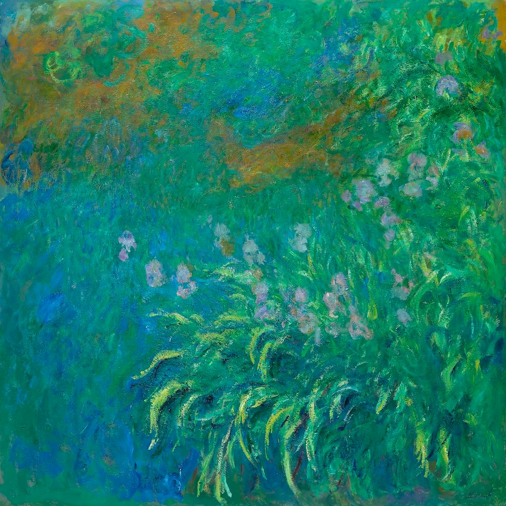 Irises (1914–1917), Claude Monet