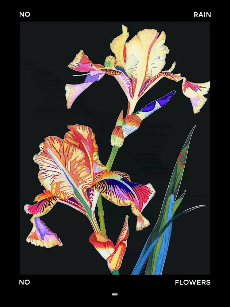 No Rain No Flowers Poster Iris 3