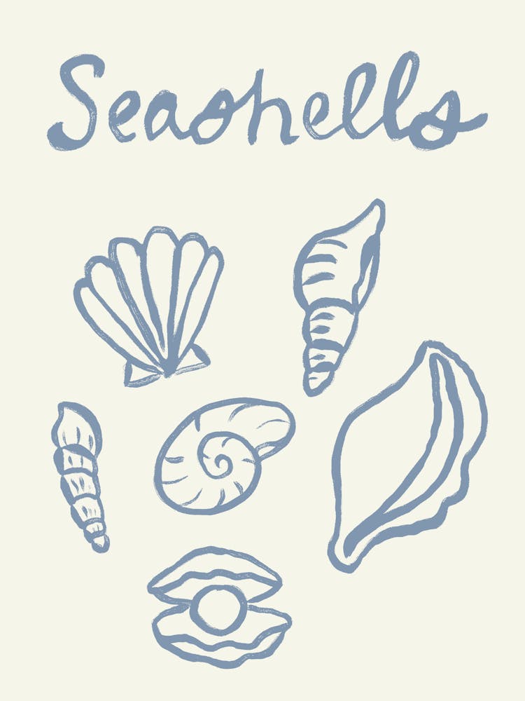 Seashell Doodles, Seashell Line Art, Minimalism Seashell Design 6
