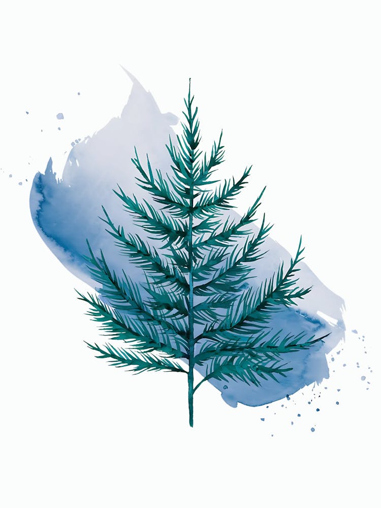 Watercolor Of A Pine Tree