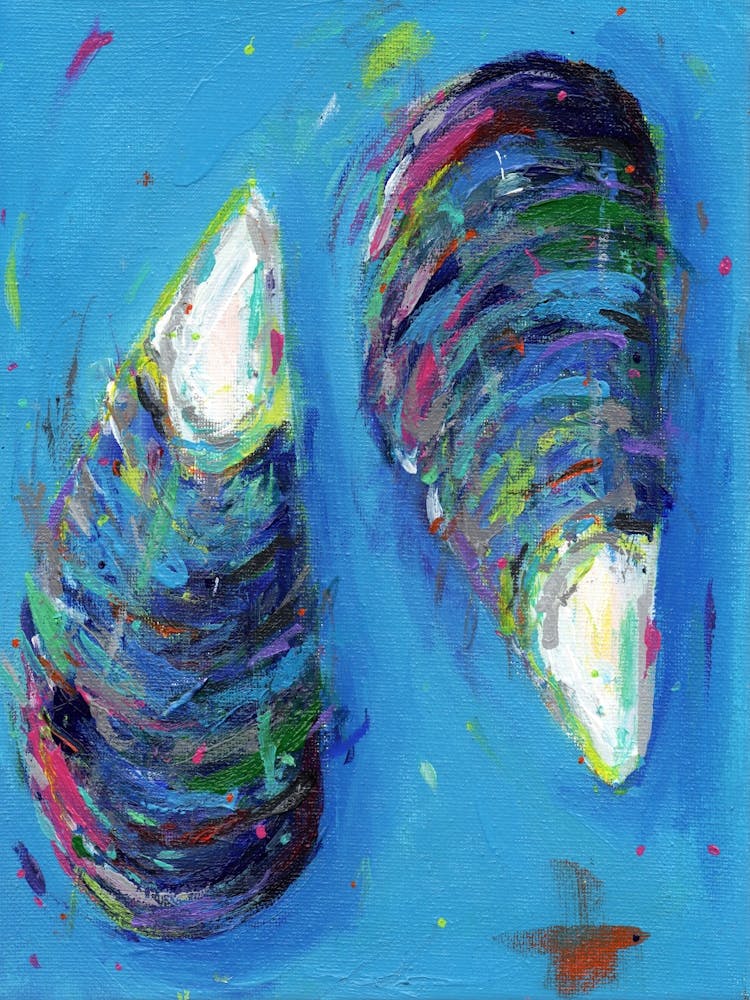 Mussel Shells 1