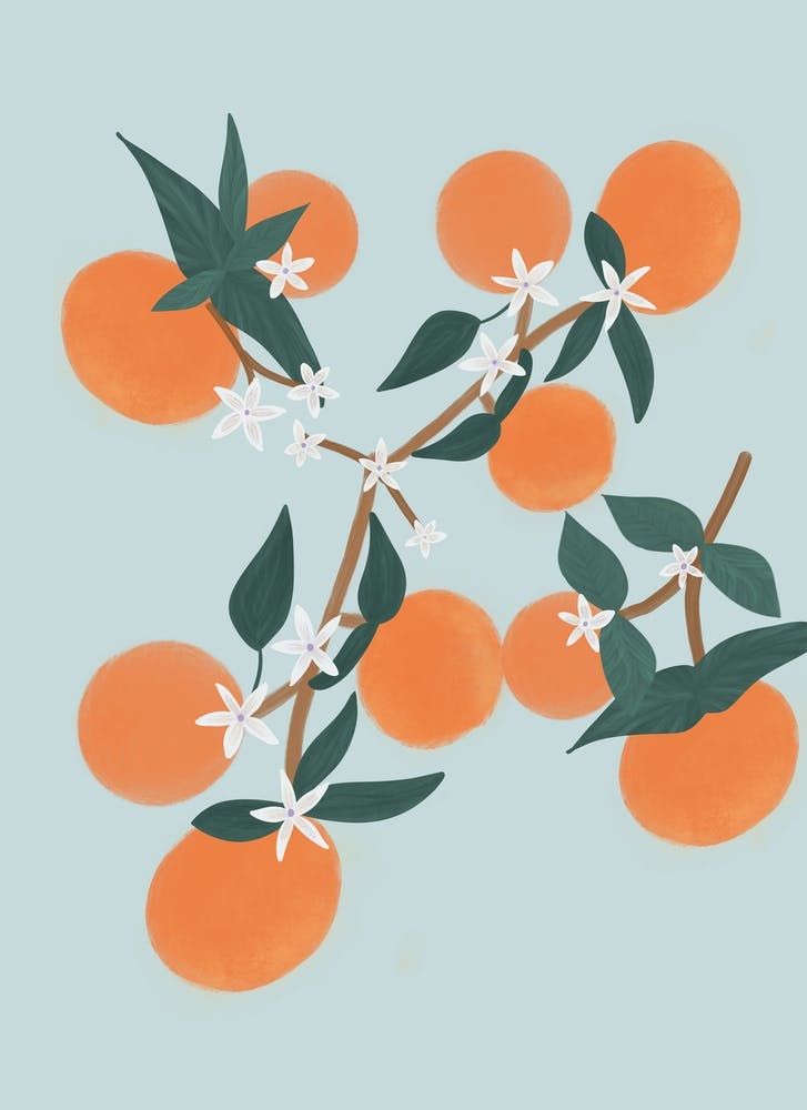 Orange Blue