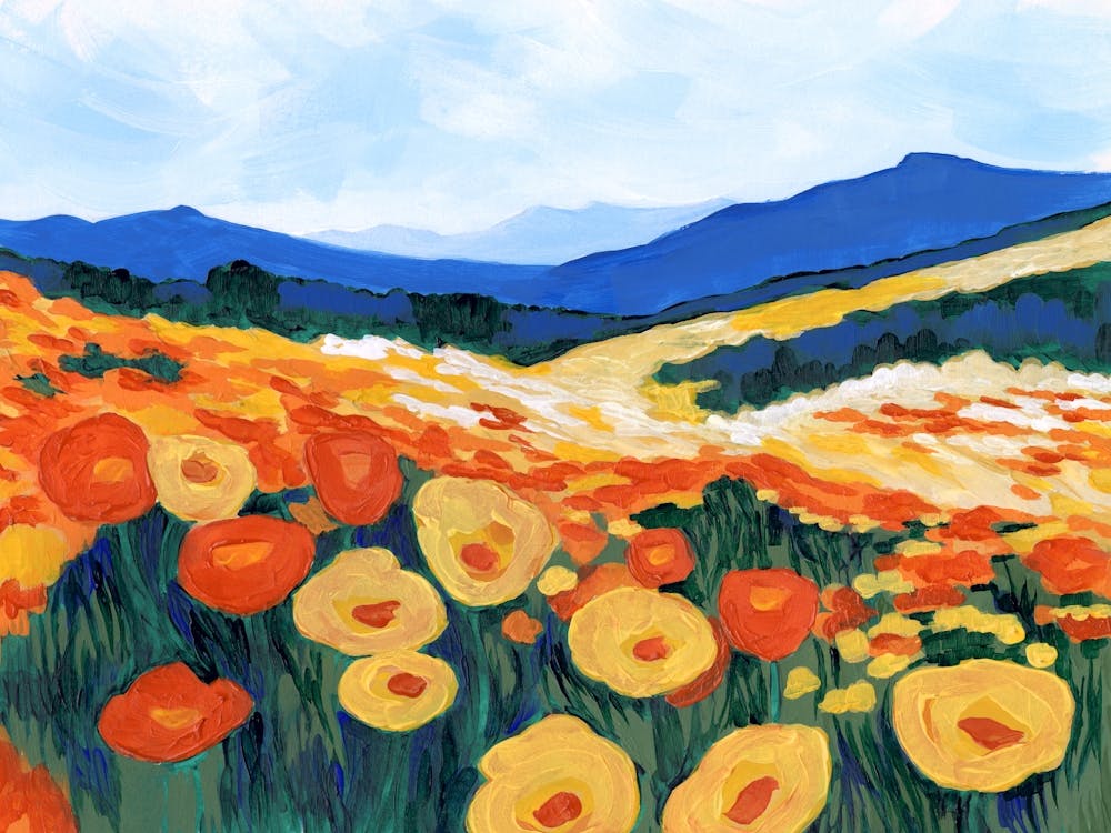 California Poppies In Bloom Orange and Blue Floral Landscape