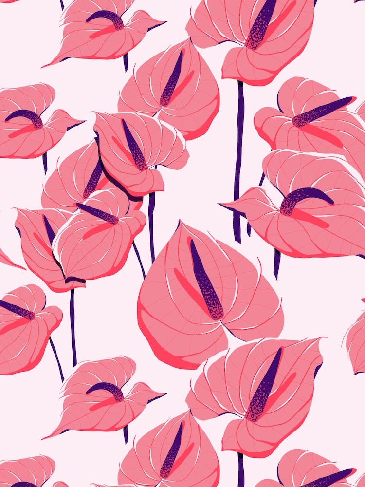 Anthurium