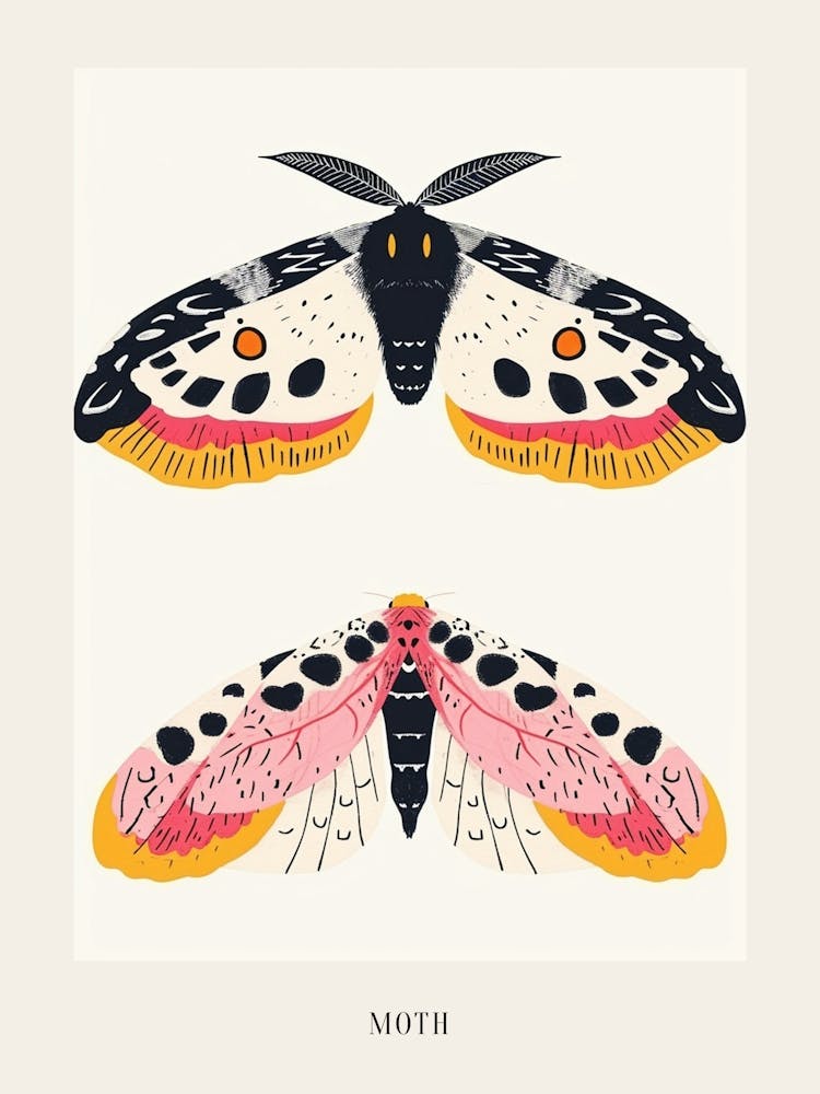 Colourful Insect Illustration Moth 2 Poster