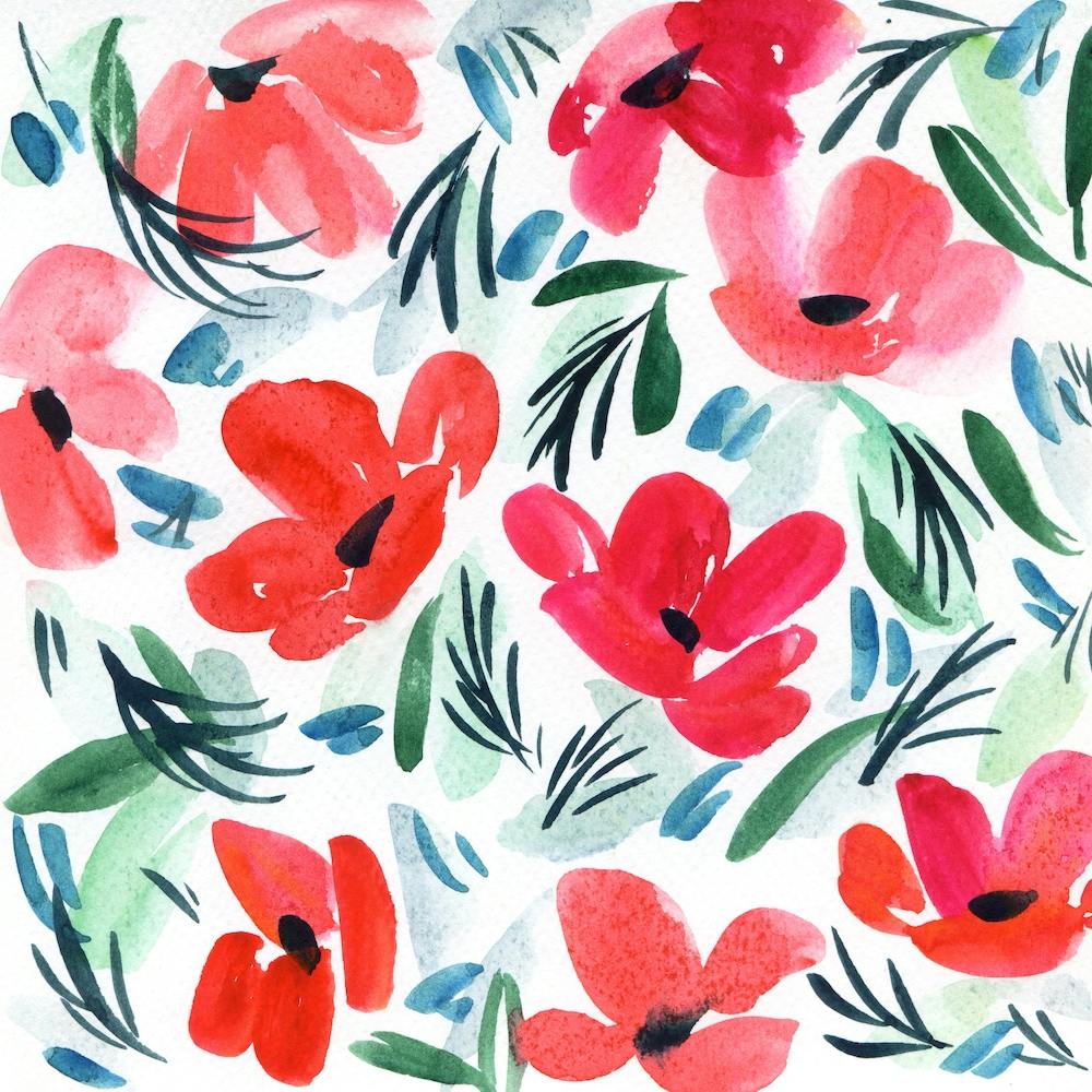 Roter Mohn